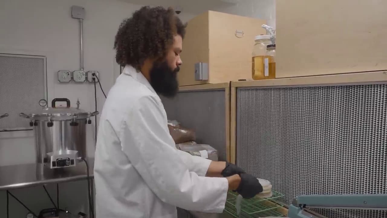 Lion's Mane: The Most Profitable Species