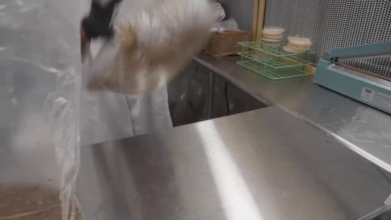 Contamination Prevention Checklist